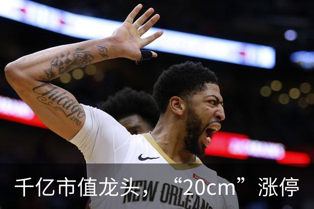 千亿市值龙头，“20cm”涨停